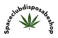 Discover The Must-Try Space Club Flavors Of The Year